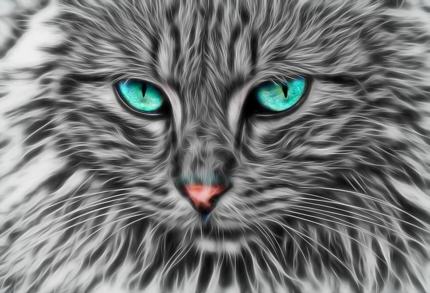 fraktal, Fraktal kat, kat kunst, kat, dyr, feline, pels, stirre, kæledyr, øje, grøn
