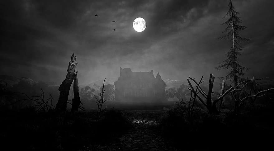 House, Villa, Manor, Gloomy, Dark, Scary, Creepy, Mysterious, Moon, Night, 3d