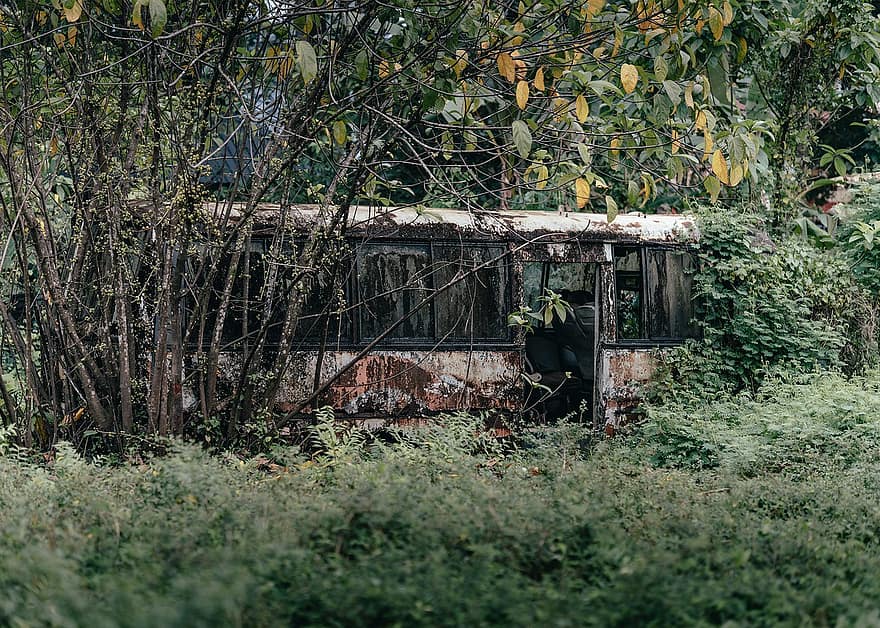 autobuz, natură, abandonat, distrugere, dărâmături