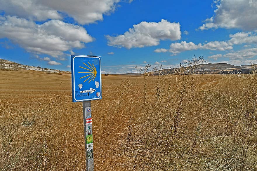 camino, jakobsweg, pilgr, símbolo, personagem, placa, azul, cena rural, grama, panorama, direção