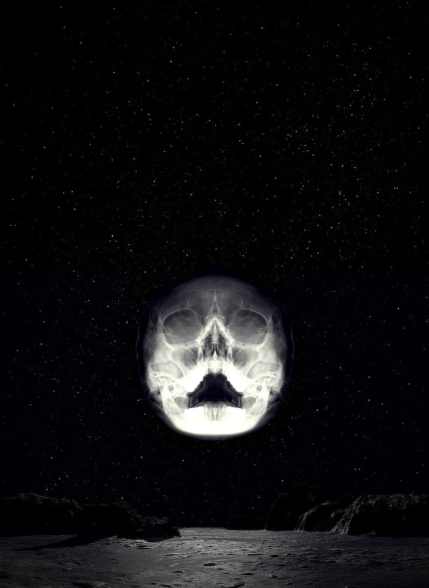 Skull, Landscape, Starry Sky, Space, Death, Horror, Weird, Ghostly, Darkness, Black And White, Radiography