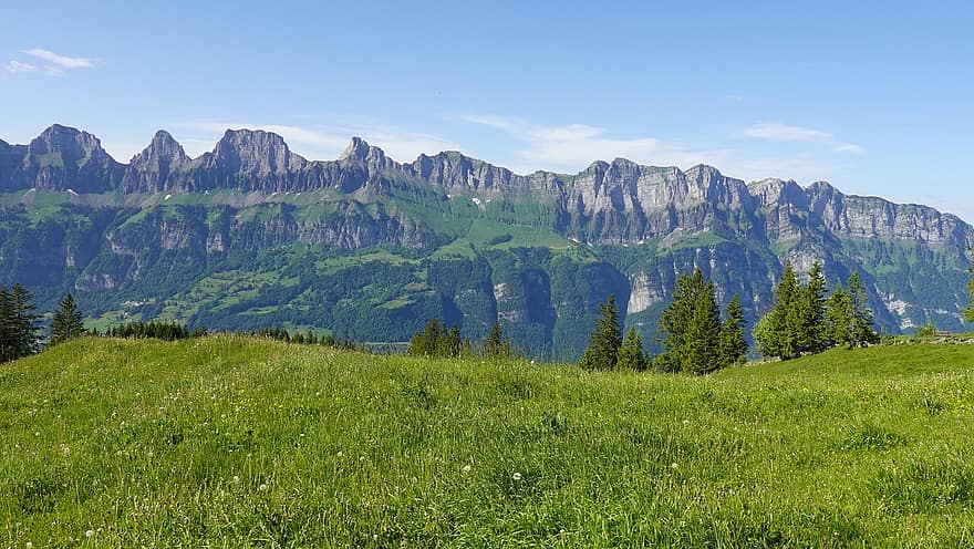 Mountain, Pasture, Switzerland, Flumserberg, Swiss Alps, Nature, Scenery, meadow, green color, grass, summer