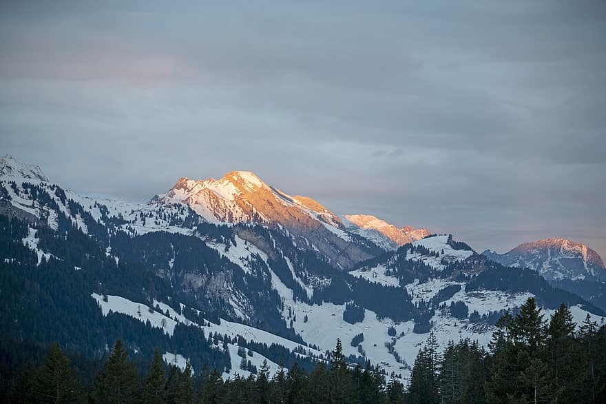 Sveits, vinter, natur, reise, utforskning, utendørs, fjell, snø, fjelltopp, skog, landskap