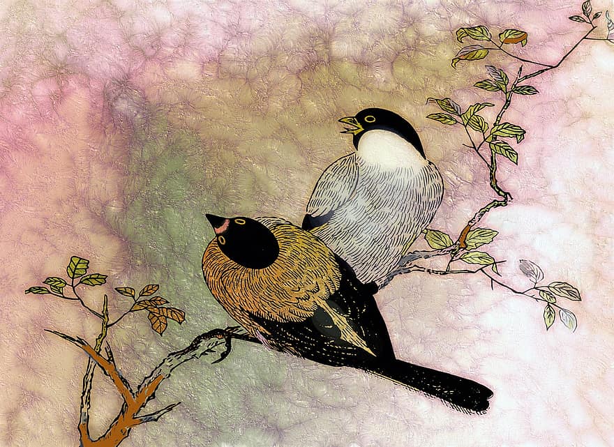 ptaki, Natura, drzewo, długopis, Pióro do rysowania, gałązka, ptak śpiewający, ulotka, symbolika