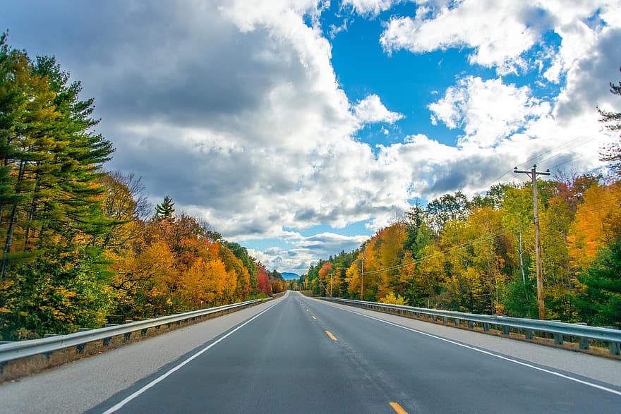 Droga, drzewa, spadek, Autostrada, asfalt, jesień, listowie, las, krajobraz, sceniczny, New Hampshire