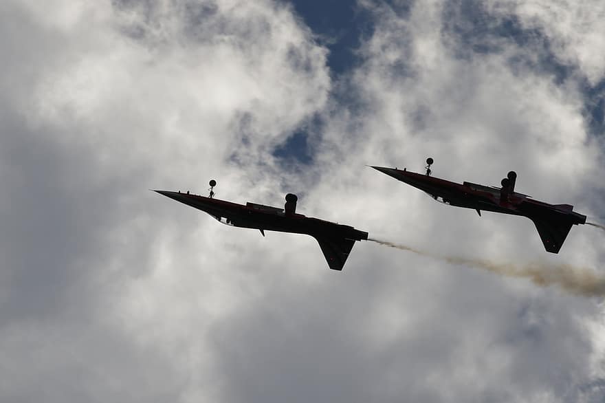 نورثروب F-5 ، سلاح الجو السويسري ، فريق هوائي ، طائرات مقاتلة ، قاذفة قنابل ، طيران