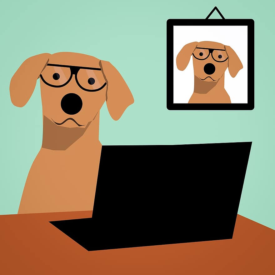 Pes, laptop, počítač, brýle, kancelář, lavice, domácí zvíře, podnikání, technologie, zvíře, práce