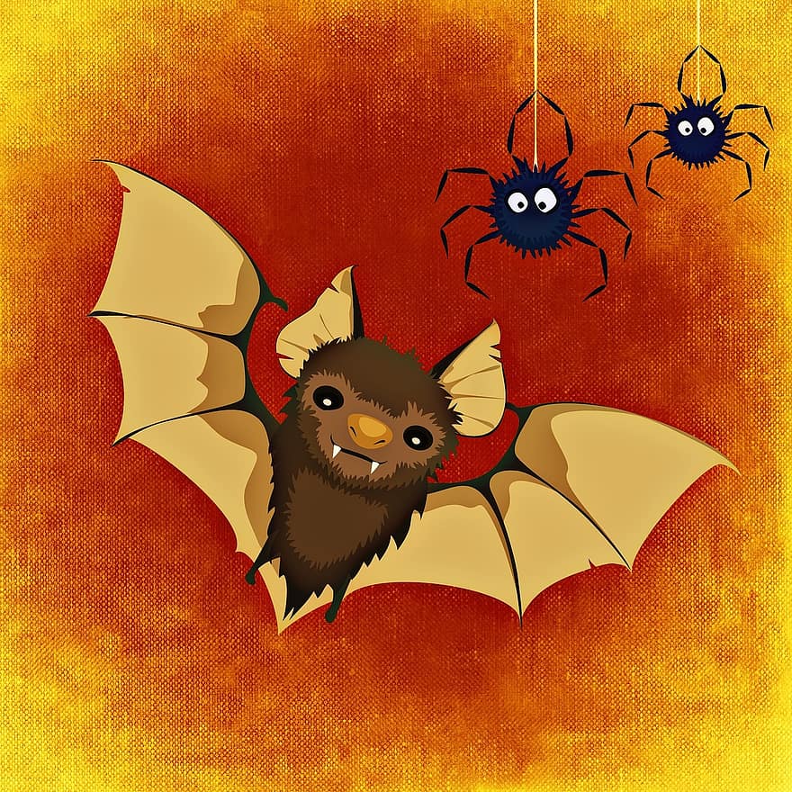 flagermus, edderkop, glædelig Halloween, halloween, sjov