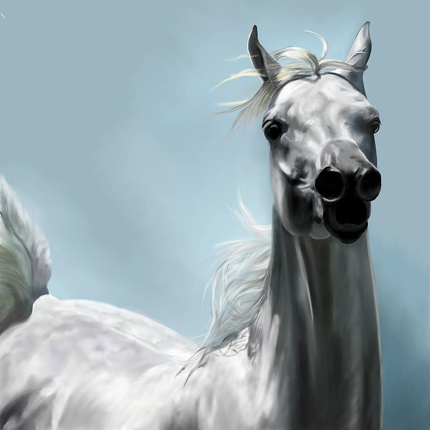 アラビアの馬、馬の絵、動物、走っている馬、白馬、ブルーランニング、青い絵、ブルーラン