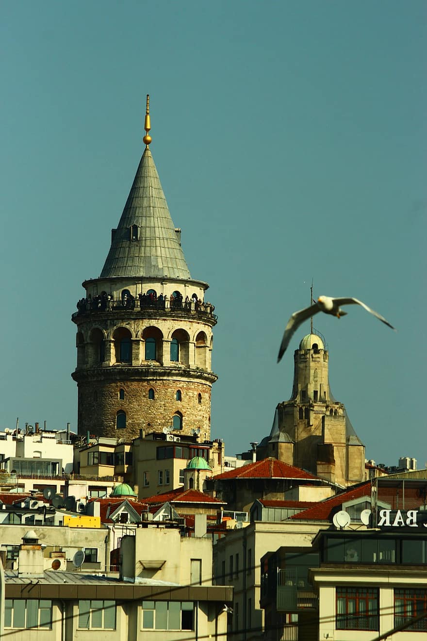 Galatatoren, zeemeeuw, nostalgie, stad, Estuarium van Istanbul, reizen