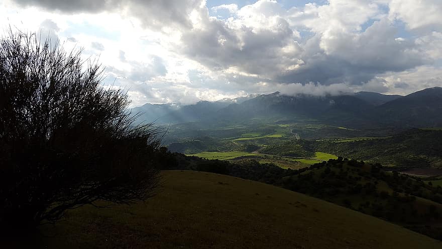 erdő, préri, hegy, természet, növényvilág, folyó, völgy, Ecuador