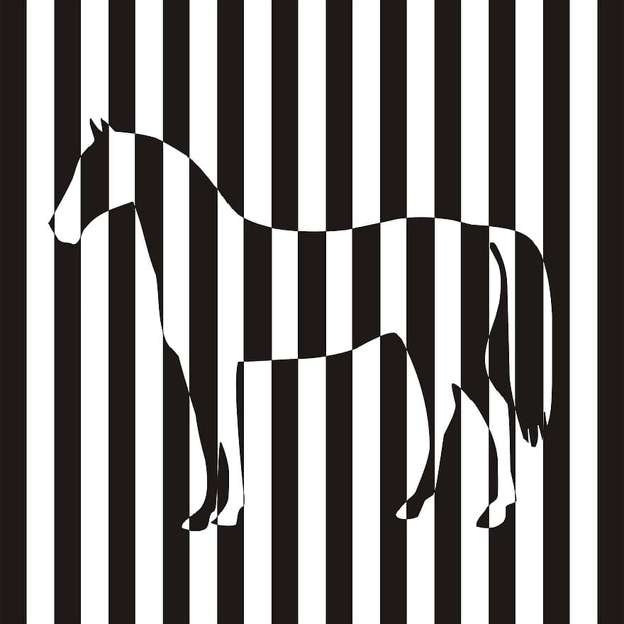 zebra, il cavallo
