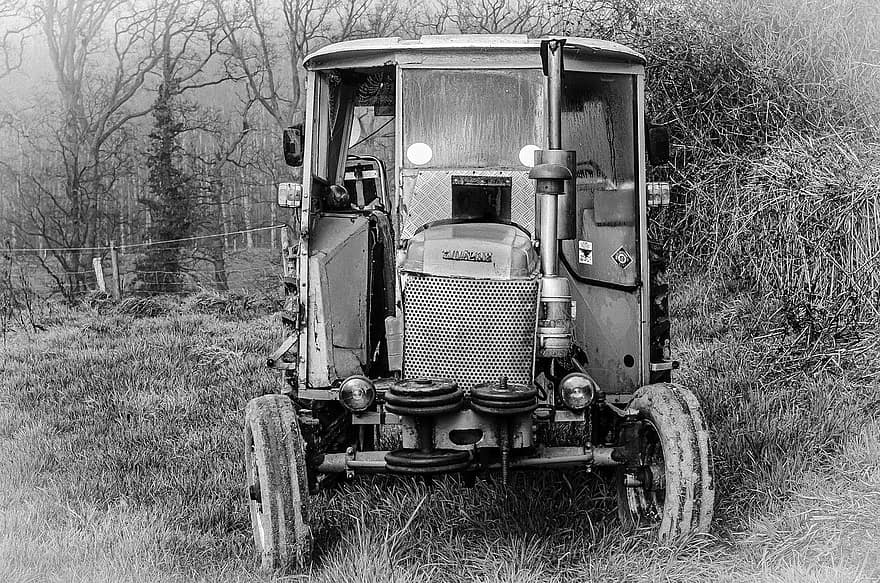 tracteur, champ, la nature, rural, noir et blanc, monochrome, transport, vieux, scène rurale, véhicule terrestre, mode de transport