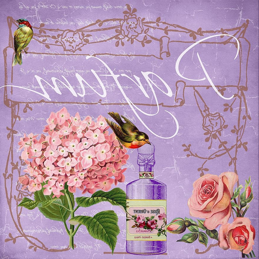 Parfum, Vintage, Collage, Elegant, Flowers, Rose, Bird, Scrapbook, Background, Paper, Lilac Background