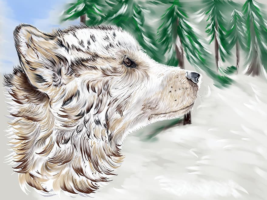 koira, talvi-, lumi, digitaalinen taideteos
