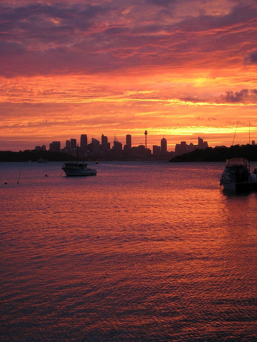 puesta de sol, horizonte, Watson Bay, sydney, Australia, oscuridad