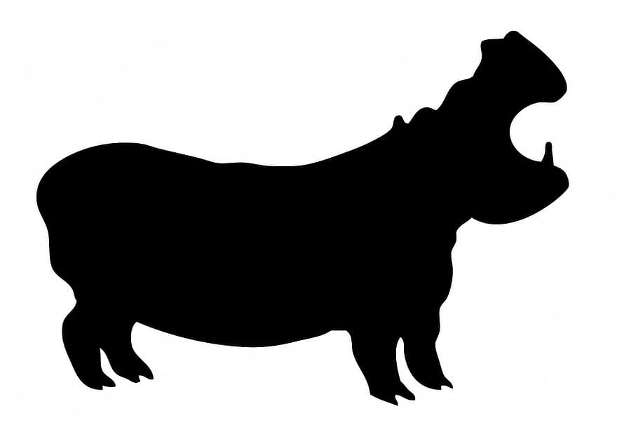 nijlpaard, zwart, silhouet, kunst, gebrul, dier, wit, achtergrond, wild