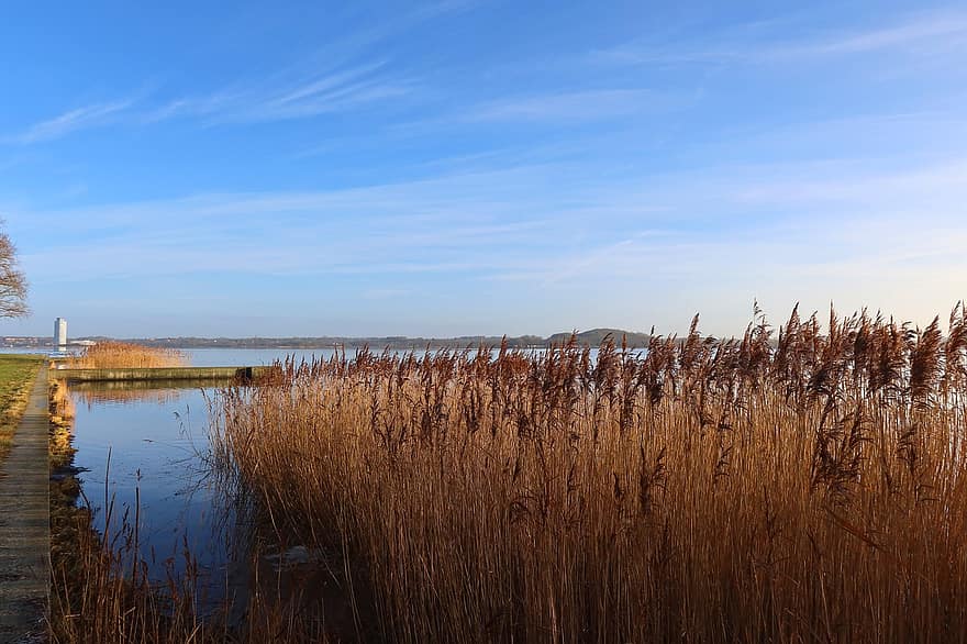 sø, flodbred, reed græs, natur, udendørs, Slien, vand, Kystlandskab, landskab, blå himmel, Schleswig