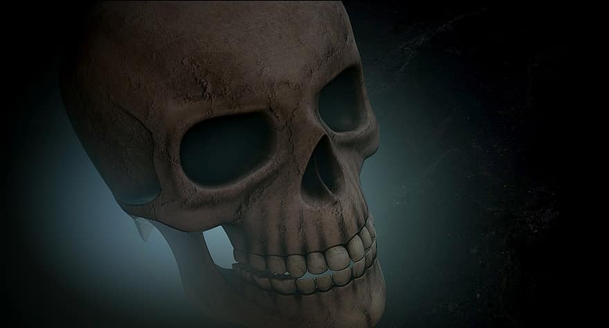 kaukolė, kaulų, galva, skeletas, 3D modelis, grafinis, tekstūra