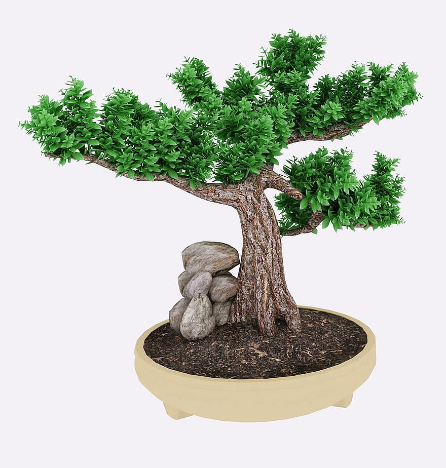 tre, 3d, gjengi, blader, grønn, 3d-modellen, bonsai tre