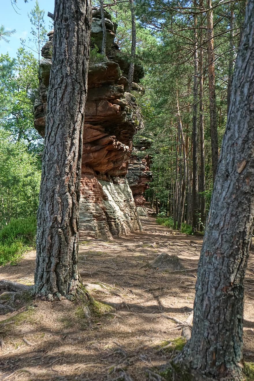 arboles, excursionismo, bosque, rocas de arenisca, bosque palatinado, piedra arenisca, naturaleza, Alemania