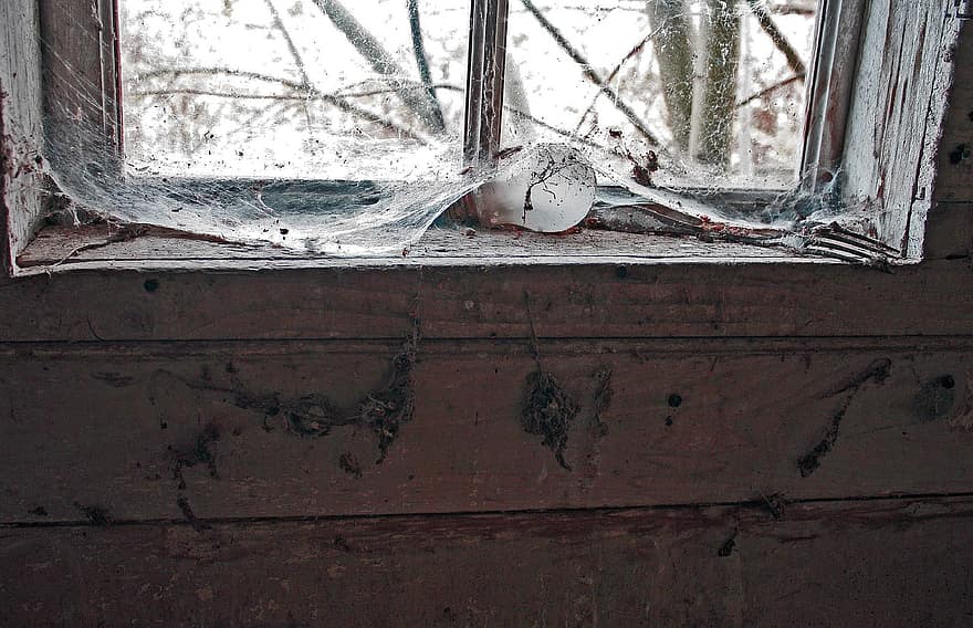 janela, parede, teias de aranha, poeira, velho, lâmpada, teia de aranha, peitoril da janela, dilapidado