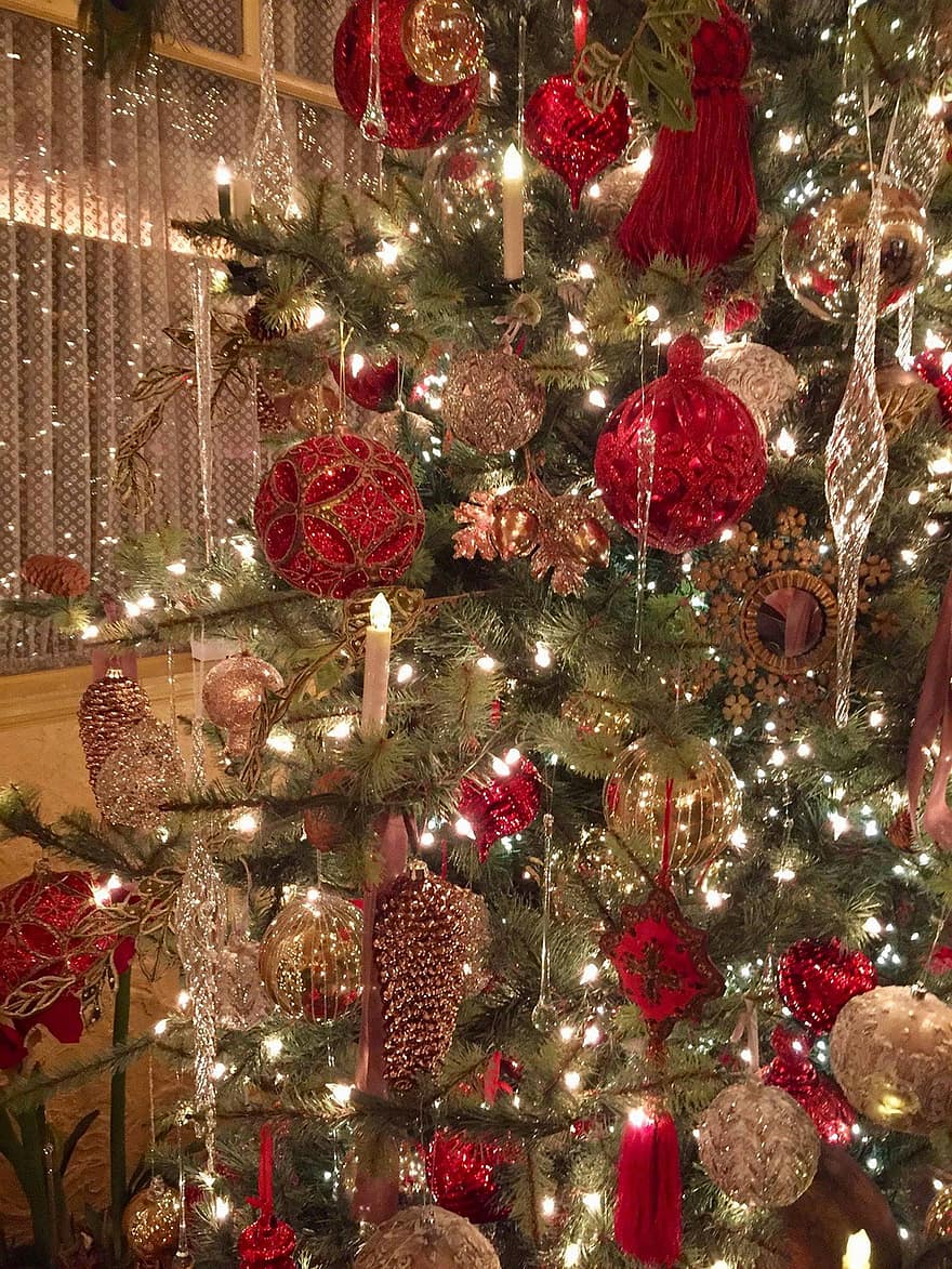 festa degli alberi, Fort Wayne, Indiana, ambasciata, punto di riferimento, storico, architettura, decorazioni natalizie, luci di Natale