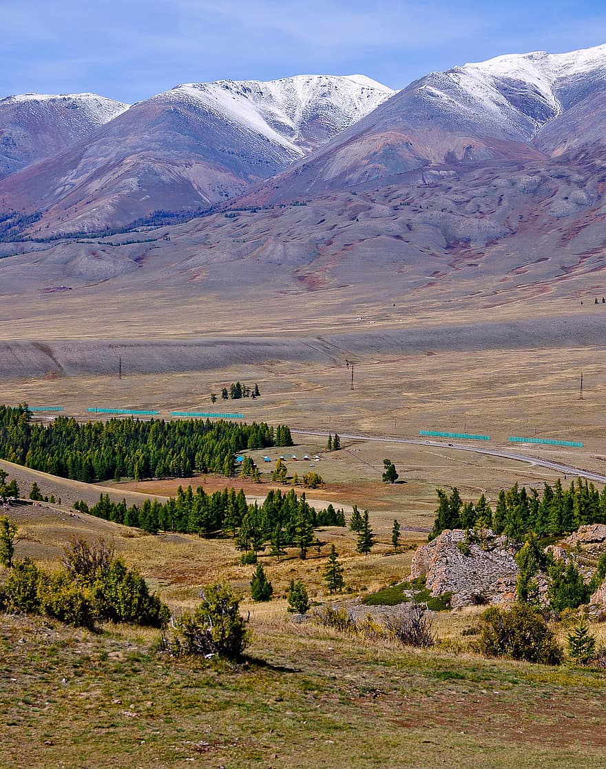 trær, fjellene, steppe, Chui, Altai, dahl, fjell, landskap, landlige scene, gress, eng