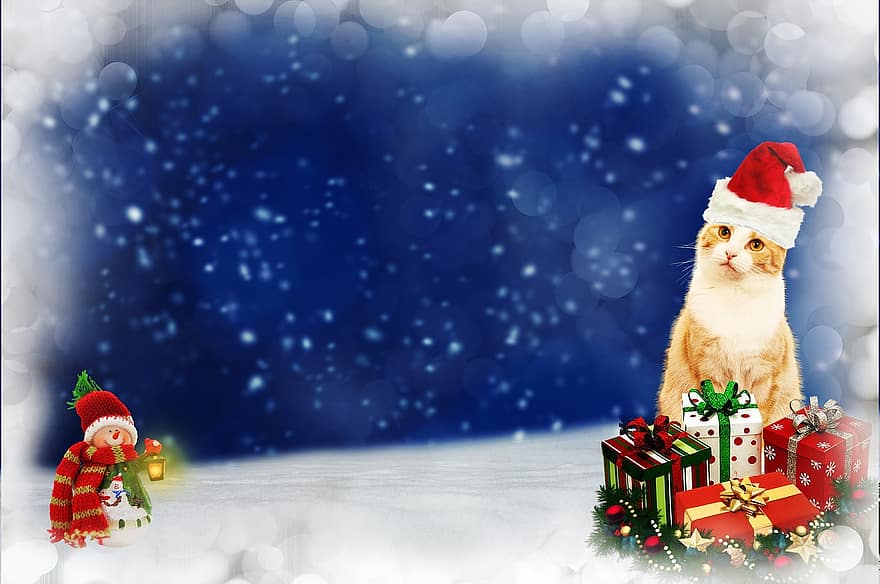 ネコ、クリスマス、贈り物、雪、背景画像、枠、ボケ、動物、可愛い、甘い、赤い帽子