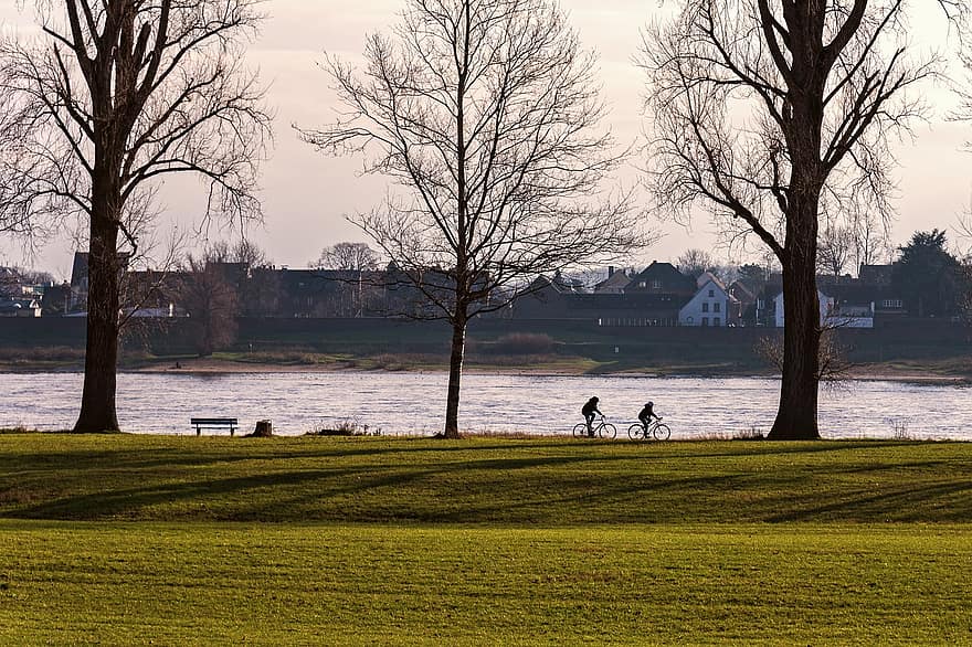 Landscape, Trees, Water, River, Meadow, Grass, Cyclists, Cycling, Nature