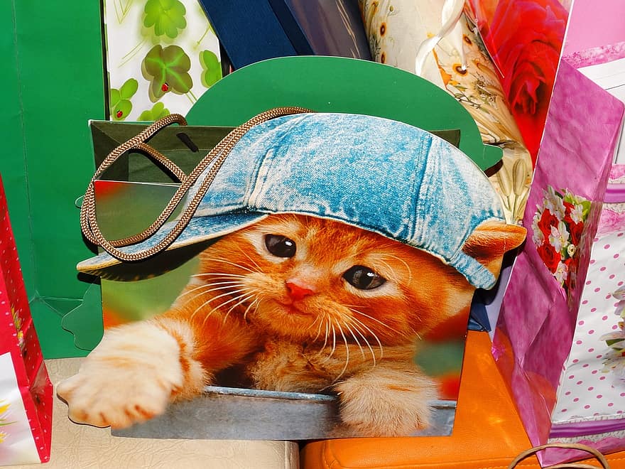 кішка, подарунковий пакет, шапка