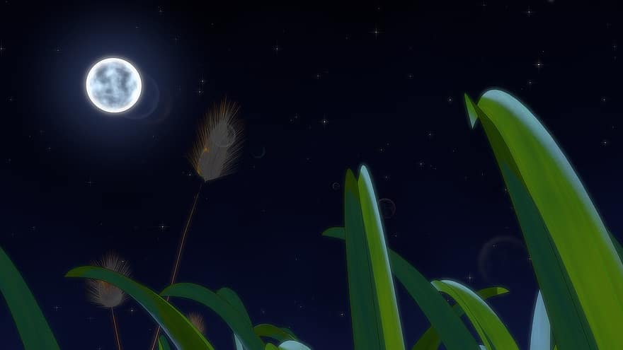 lluna, herba, nit, cel, estrelles, llum de la lluna, lluna plena, brillar, prat, naturalesa