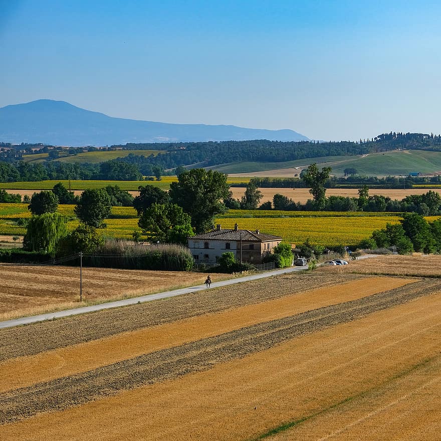 tuscany, Italia, pemandangan, siena, kuda, berkuda, pemandangan pedesaan, tanah pertanian, pertanian, musim panas, padang rumput