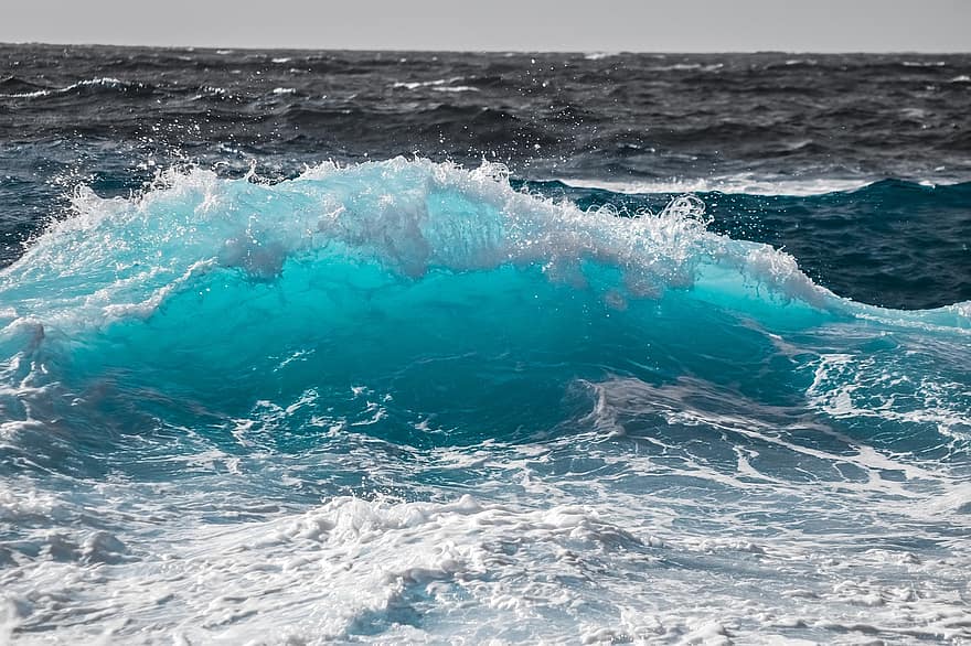 bølge, plaske, ocean, vand, hav, natur, spray, skum, bevægelse, sprøjt