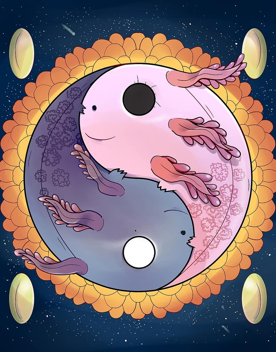 Axolotl, Yin Yang, cartone animato, animali, anfibio, acquatico, cosmico, armonia, paio, dualismo, yang