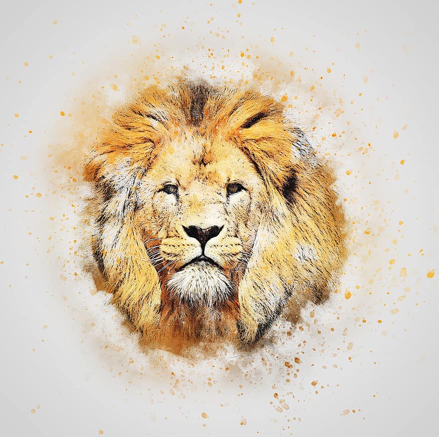 leijona, eläin, pää, muotokuva, taide, abstrakti, akvarelli, luonto, vuosikerta, taiteellinen, T-paita