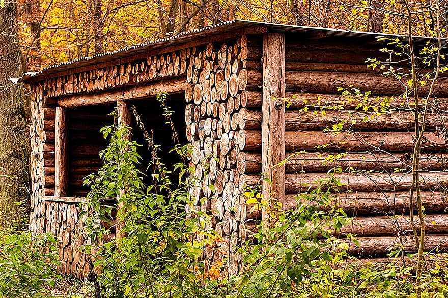 小屋、自然、森林、秋、木材、田園風景、古い、葉、木、緑色、建築