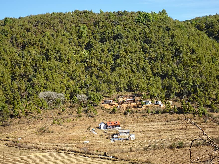 dal, bakker, rækkehuse, landbrug, plateau, afregning, landsby, Meghalaya