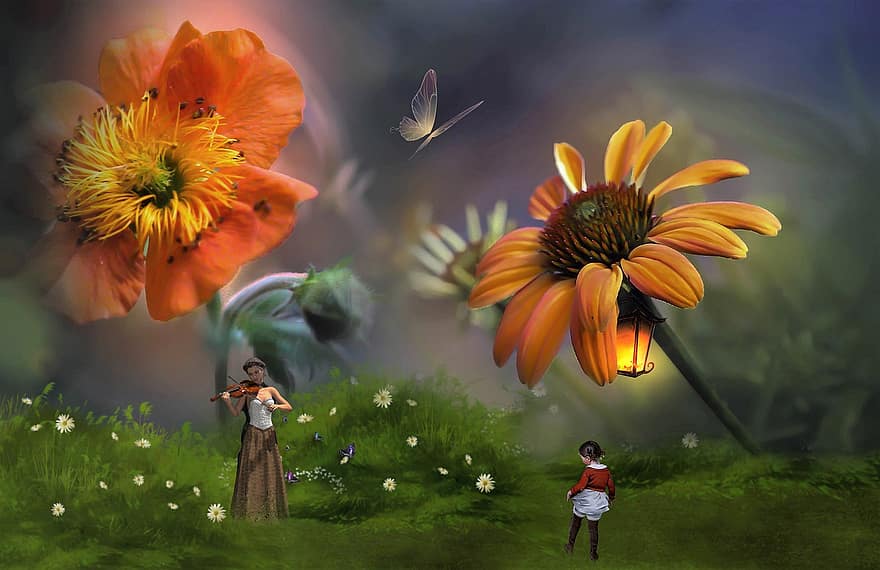 фантазія, квіти, дитина, дівчина, скрипка, метелик, жінка, молодий, луг, природи, настрій