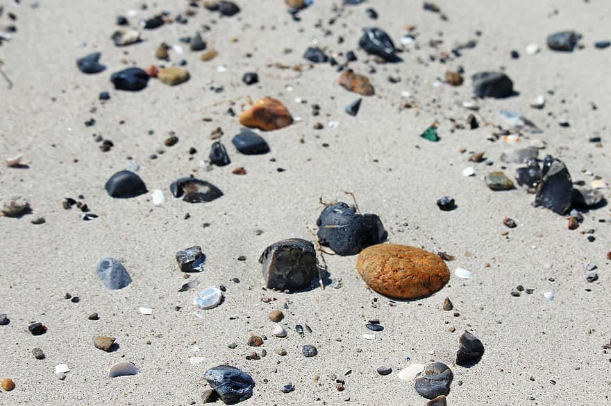 stenar, strand, skal, natur, sandstrand, avslappning, semester, Östersjön, sand, Strand sand, kust