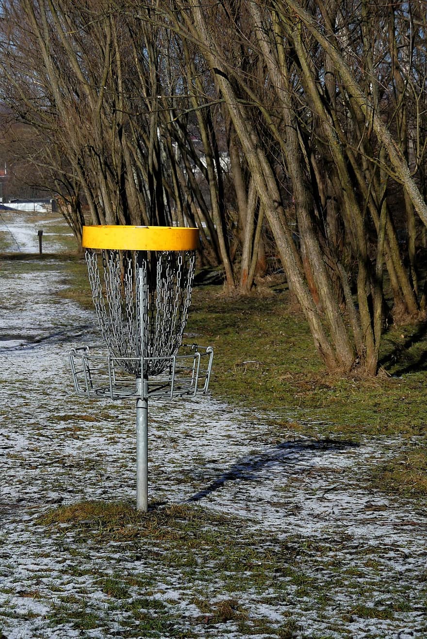 Disc Golf, Basket, Sport, Game, Play, Outdoors
