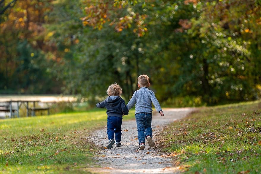 muchachos, niños, camino, sendero, parque, hermanos, arboles, hojas, otoño, los niños, naturaleza
