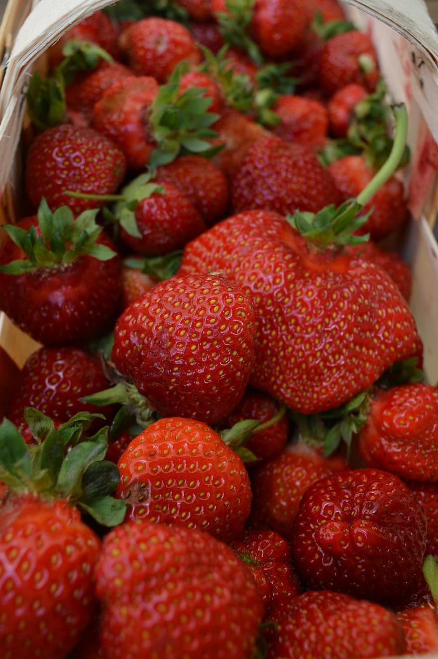 jordbær, frukt, matvarer, rød, vitaminer, spise, nydelig, søt, sunn, kurv