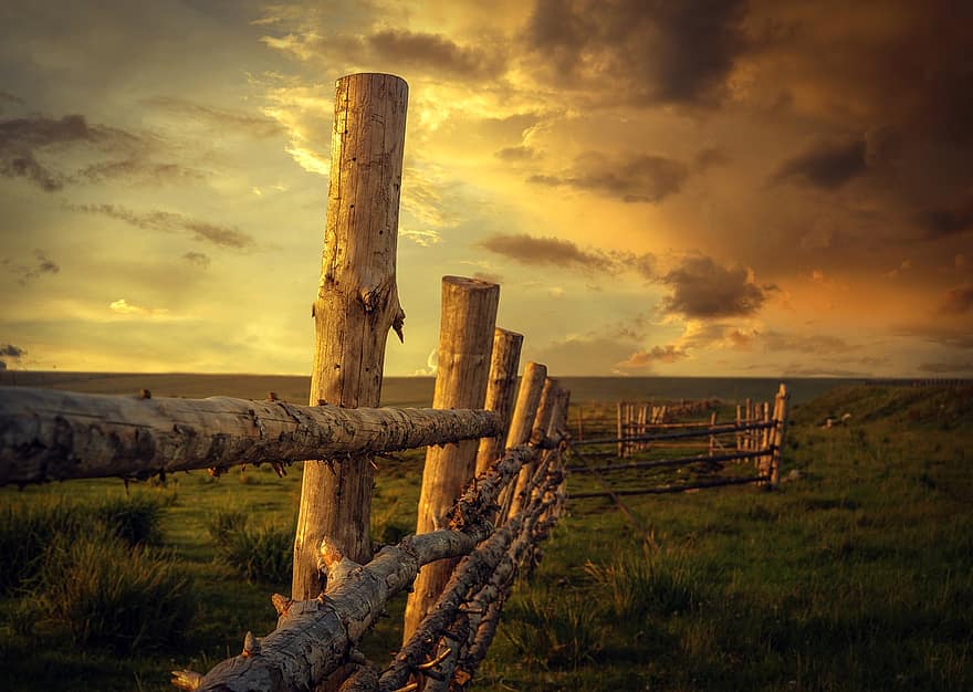 clôture, rural, ferme, poteaux, été, paysage, ciel, soir, le coucher du soleil, fermer, rugueux