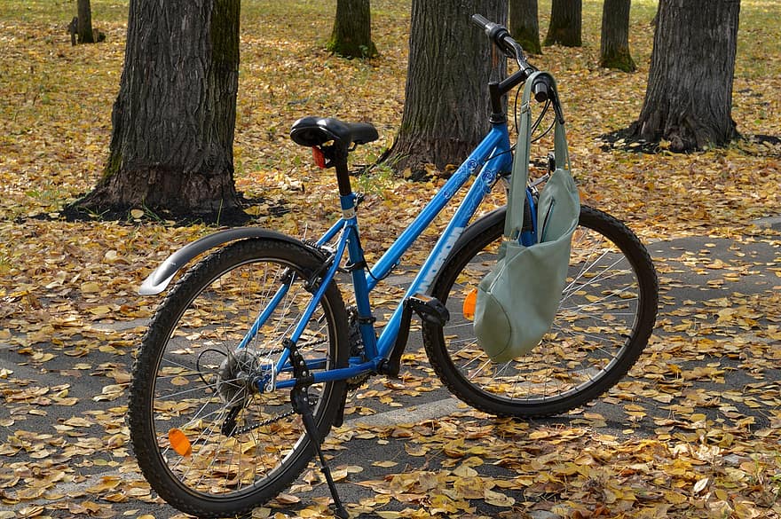 دراجة هوائية ، منتزه ، خريف ، الخريف ، دراجة ، اوراق اشجار ، أوراق صفراء ، اوراق الخريف ، أوراق الشجر