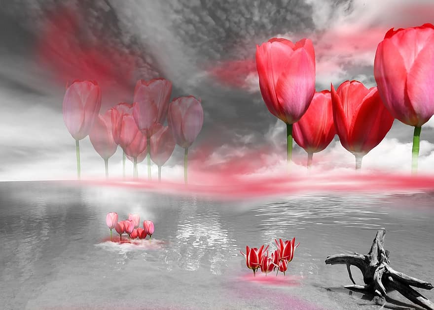 Graphic, Tulips, Landscape, Fantasy, Nature, Flowers, Blossom, Bloom, Spring, Red, Color