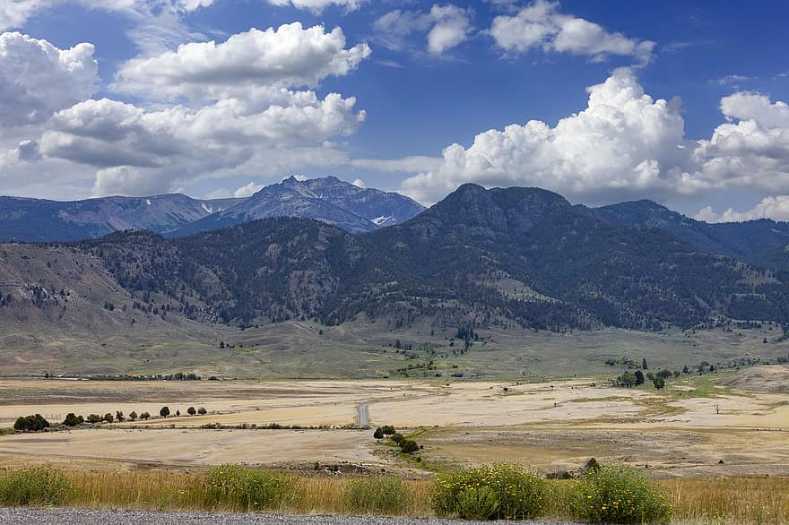Field, Mountains, Landscape, Nature, Valley, National Park, Scenery, Yellowstone, Wyoming, United States Of America