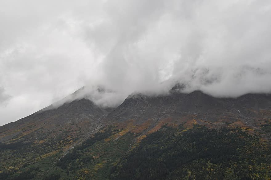 アラスカ、山岳、霧の風景、自然