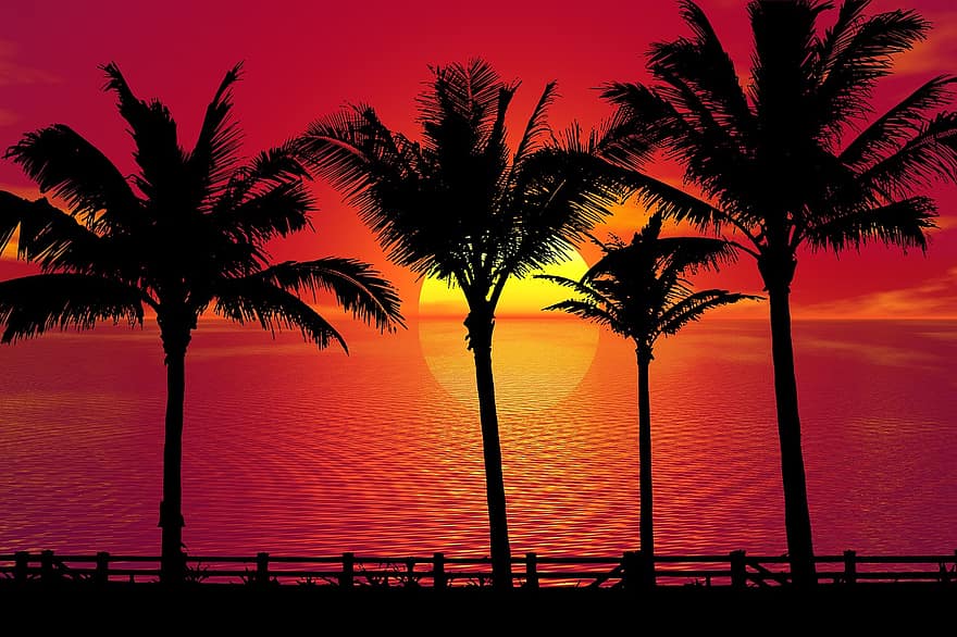 zonsondergang, palmbomen, tropisch, strand, oceaan, hemel, natuur, zee, palm, zomer, zon