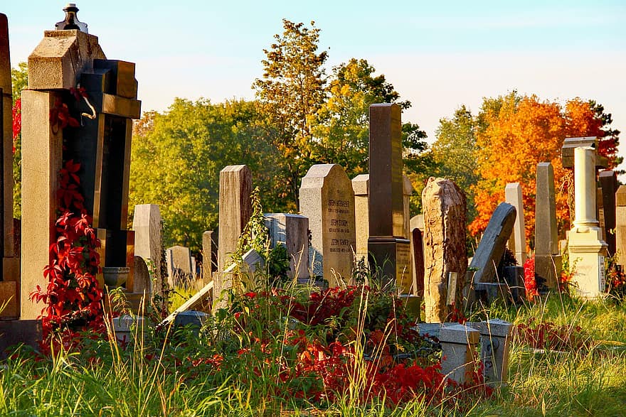 Friedhof, Grabstein, fallen, retro, Frieden, Herbst, Grab, Gras, ländliche Szene, Baum, Religion